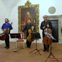 FPH - CS Cello Quartet - 29.07.18 - Foto©Lužina  (3)